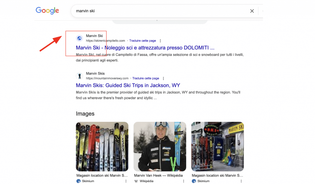 Problème de favicon dans Google