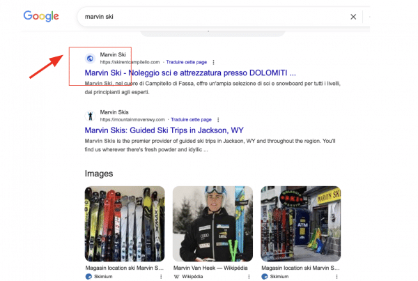 Bug Favicon SERP Google disparait