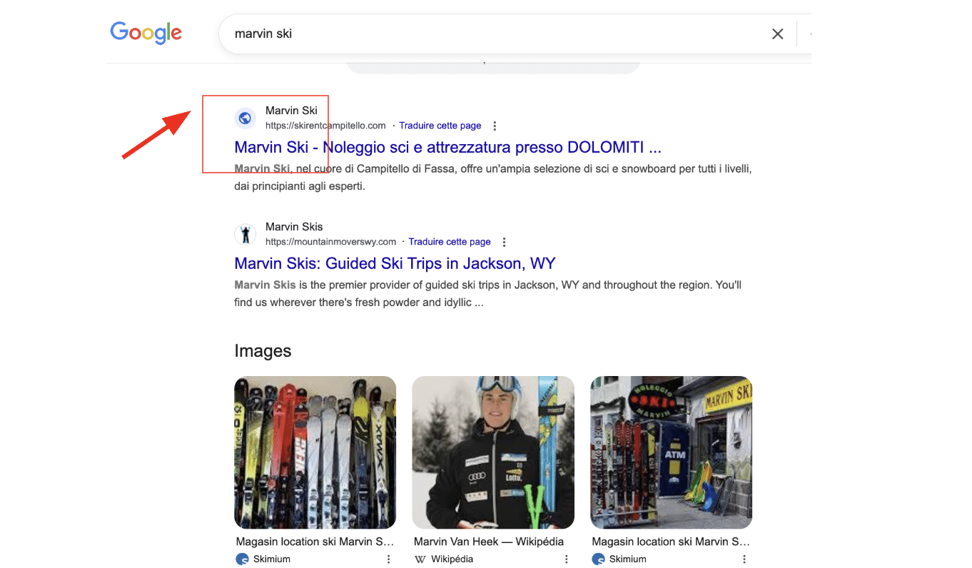 Bug Favicon SERP Google disparait